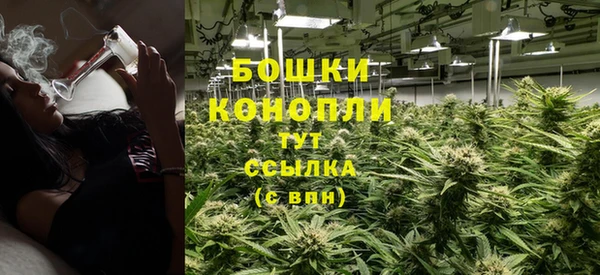 apvp Арсеньев