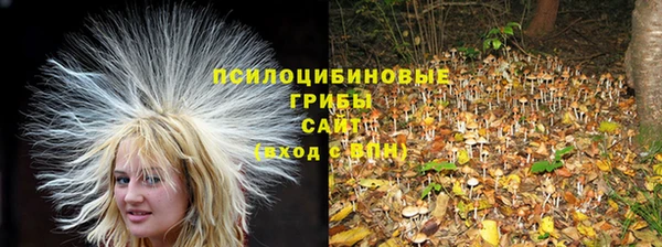 спайс Армянск