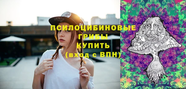 apvp Арсеньев
