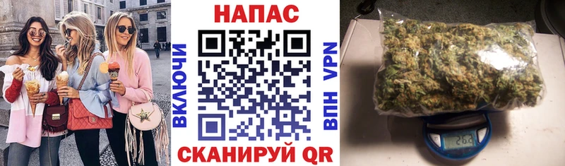 Конопля индика  дарк нет официальный сайт  Бокситогорск 
